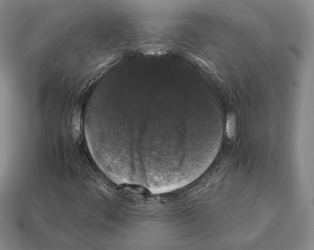 X0000112531444200909281028