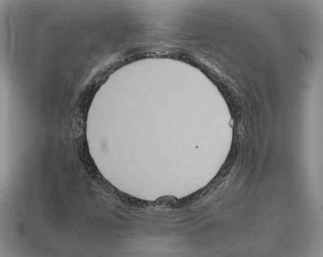 X0000112531447200909281028