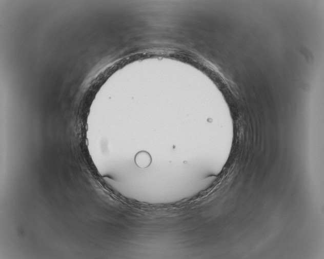 X0000112531448200909281028