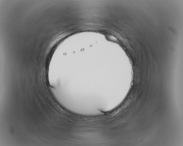 X0000112531453200909281028