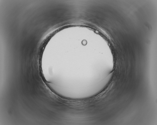 X0000112531456200909281028