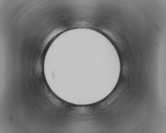 X0000112531458200909281028