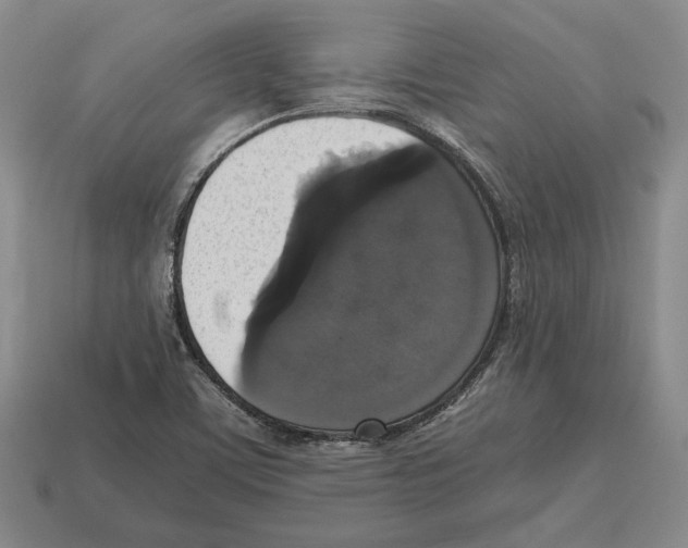 X0000112531459200909281028