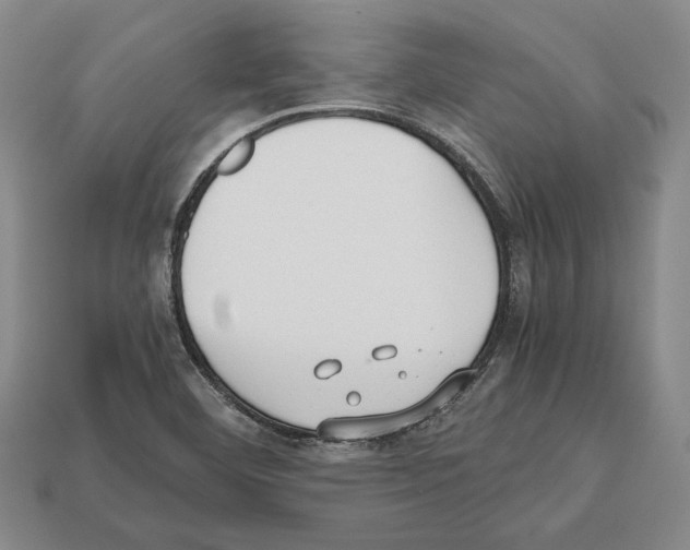 X0000112531460200909281028