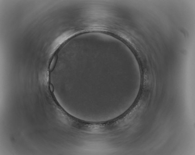 X0000112531461200909281028