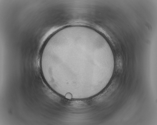 X0000112531462200909281028