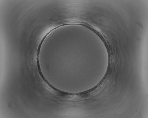 X0000112531463200909281027