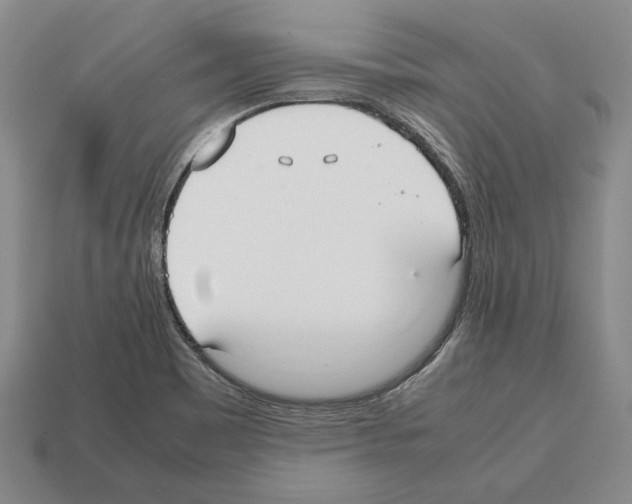 X0000112531465200909281027