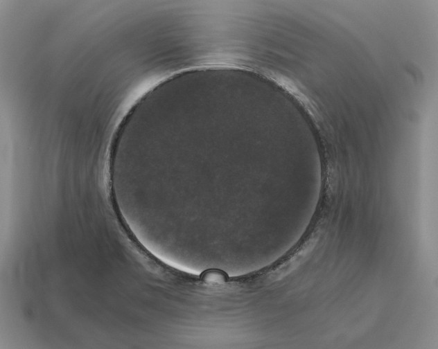 X0000112531469200909281027