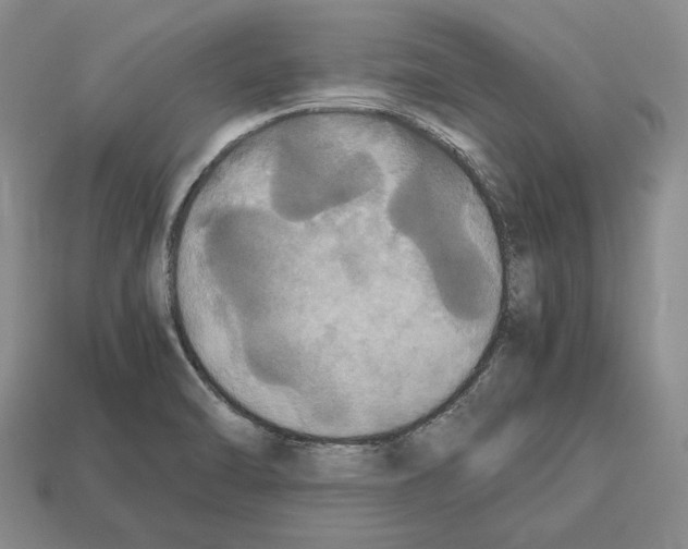 X0000112531470200909281027