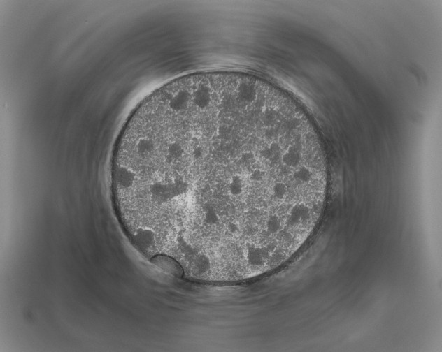 X0000112531471200909281027