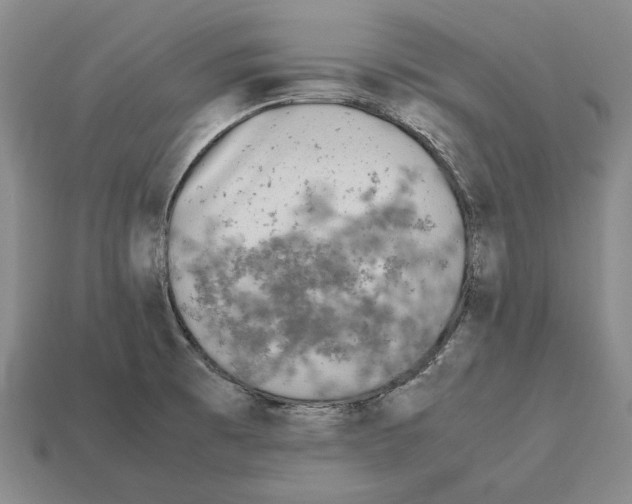 X0000112531473200909281027