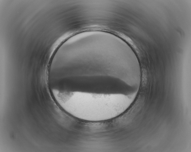 X0000112531474200909281027