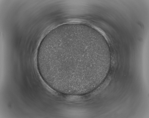 X0000112531475200909281027