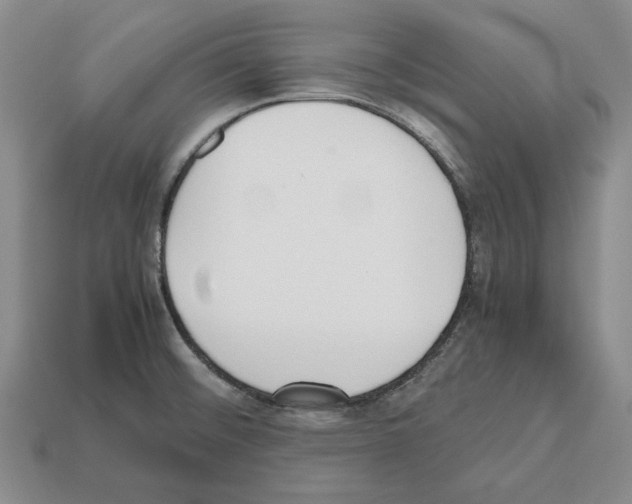 X0000112531476200909281027