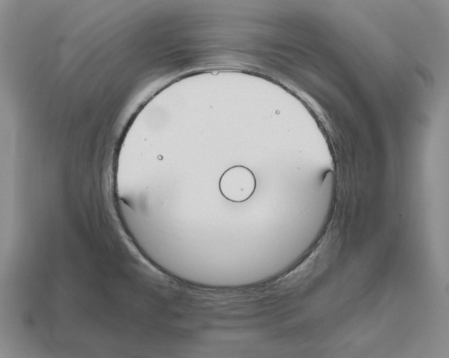 X0000112531477200909281027