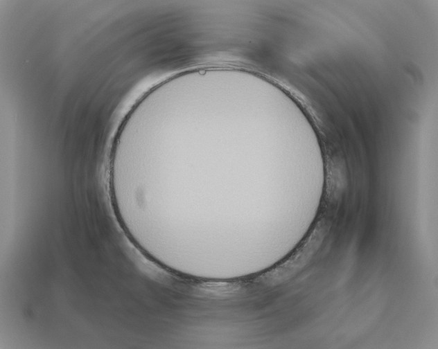 X0000112531478200909281027