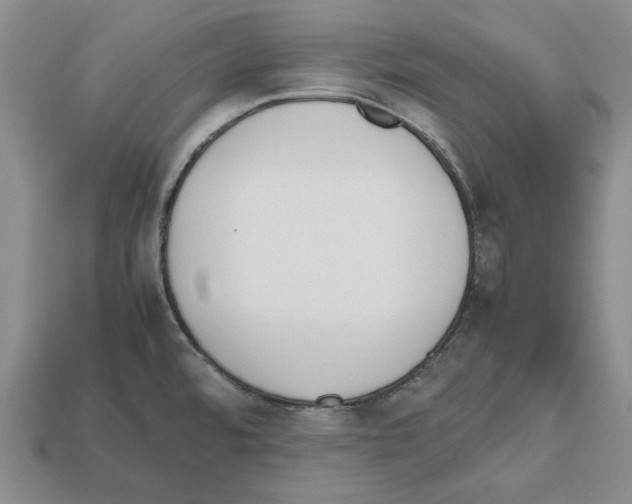 X0000112531480200909281027