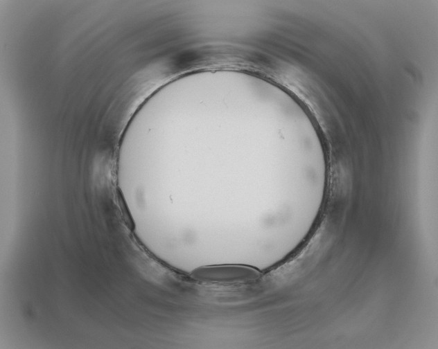 X0000112531481200909281027