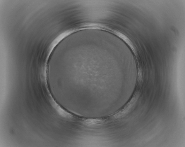 X0000112531482200909281027