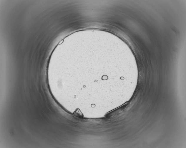 X0000112531483200909281027