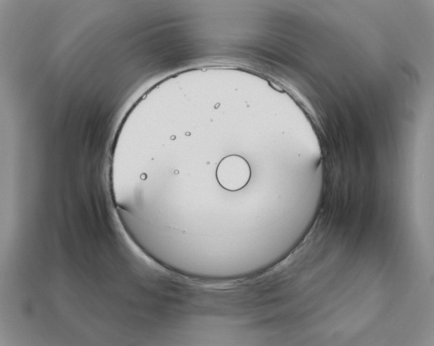 X0000112531484200909281027