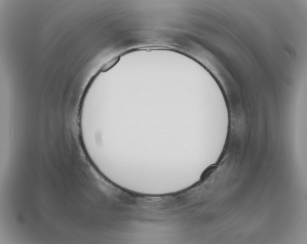 X0000112531485200909281027