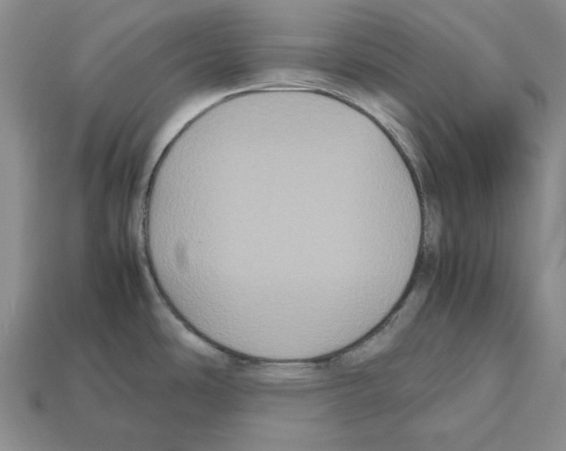 X0000112531486200909281027