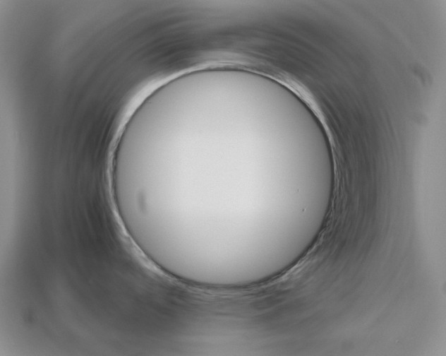 X0000112531488200909281027