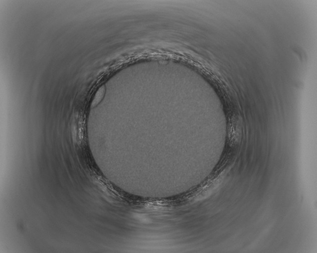 X0000112531490200909281026