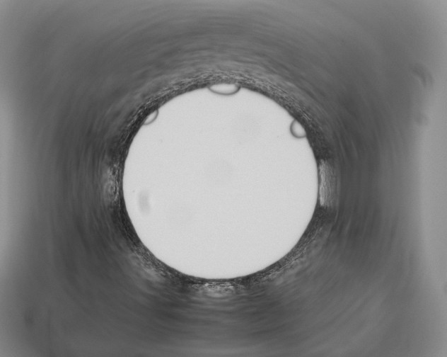 X0000112531491200909281026