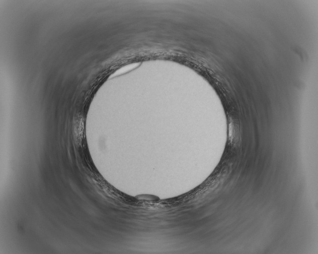 X0000112531492200909281026