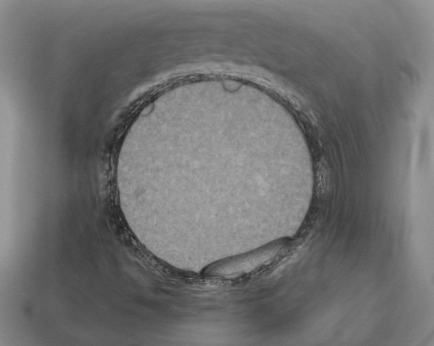 X0000112531494200909281026