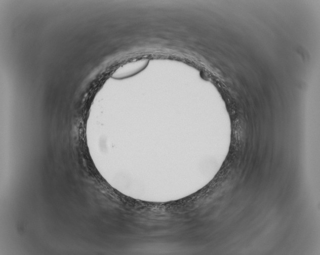 X0000112531495200909281026