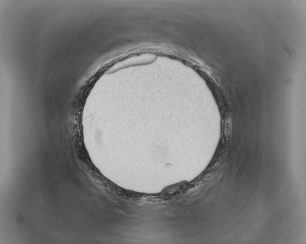 X0000112531496200909281026