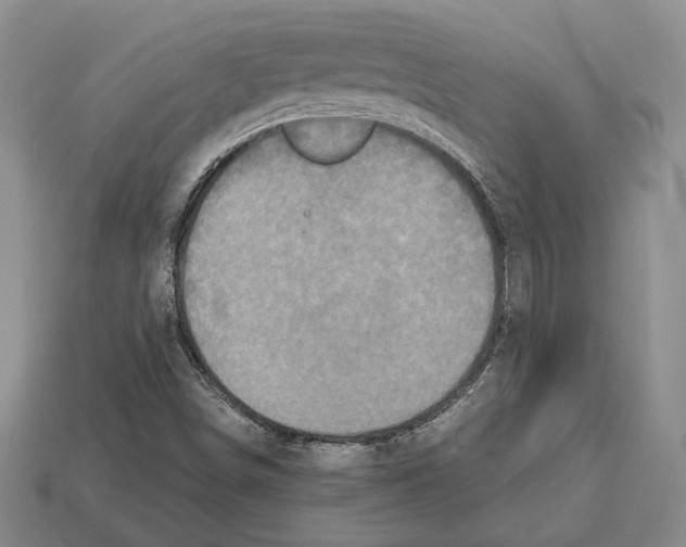 X0000112531498200909281027