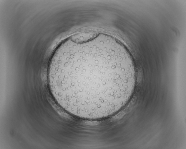 X0000112531499200909281027