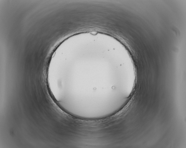 X0000112531500200909281027