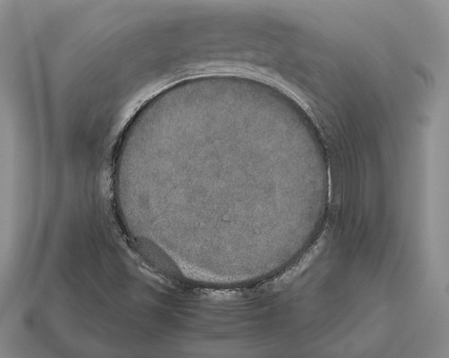 X0000112531501200909281027