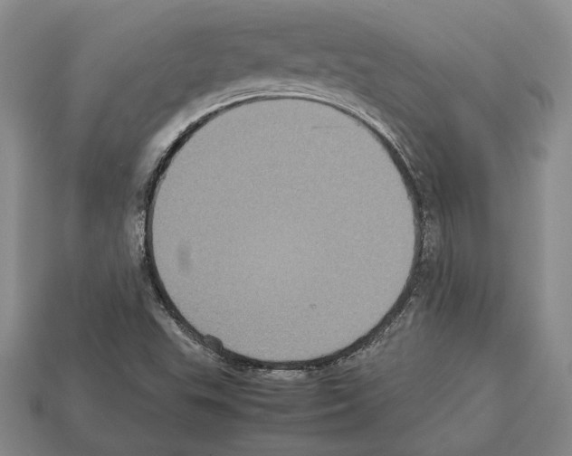 X0000112531503200909281027