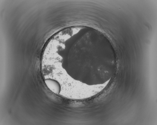 X0000112531505200909281027