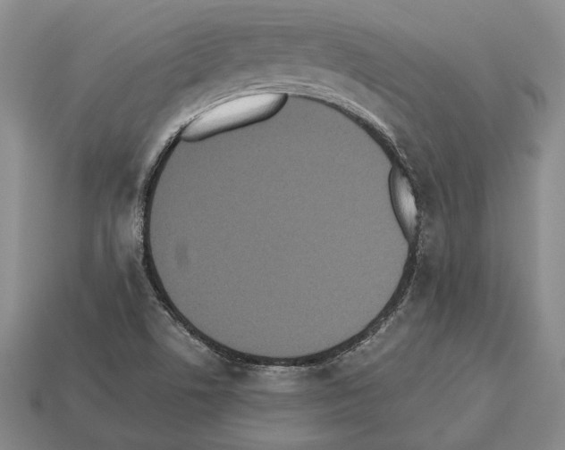 X0000112531506200909281027