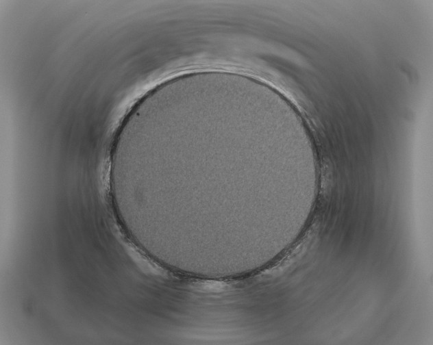 X0000112531507200909281027