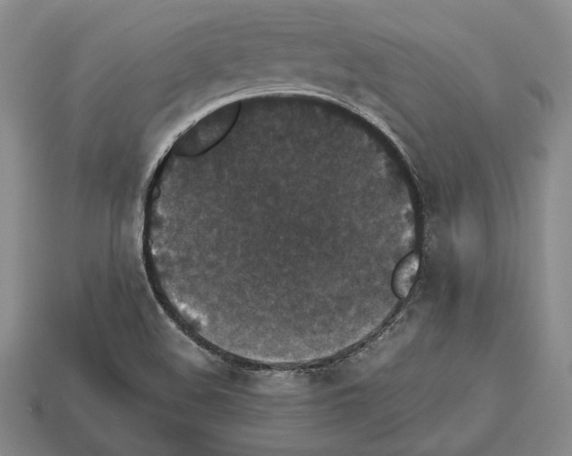 X0000112531508200909281027