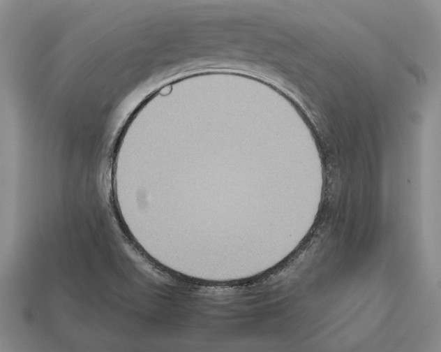 X0000112531511200909281027