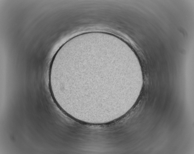 X0000112531512200909281027