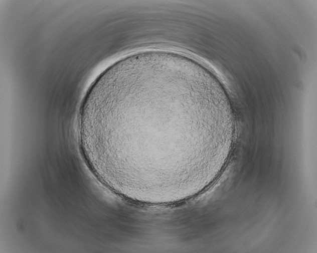 X0000112531514200909281027