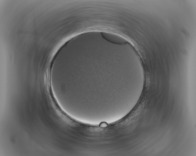 X0000112531515200909281027