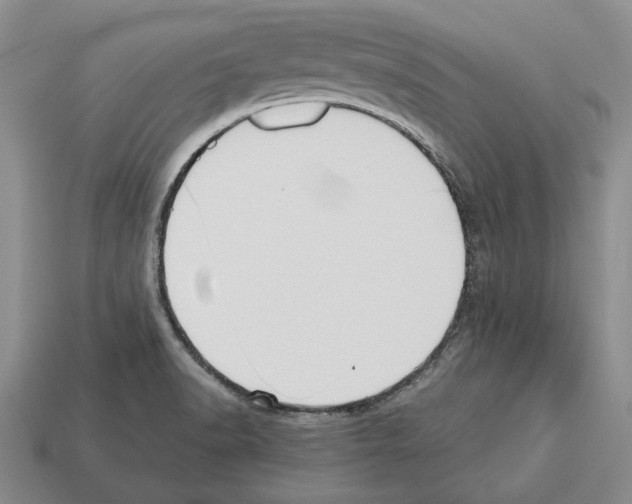 X0000112531518200909281027