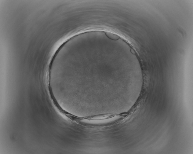 X0000112531519200909281027